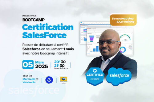 Bootcamp Saleforce Mars